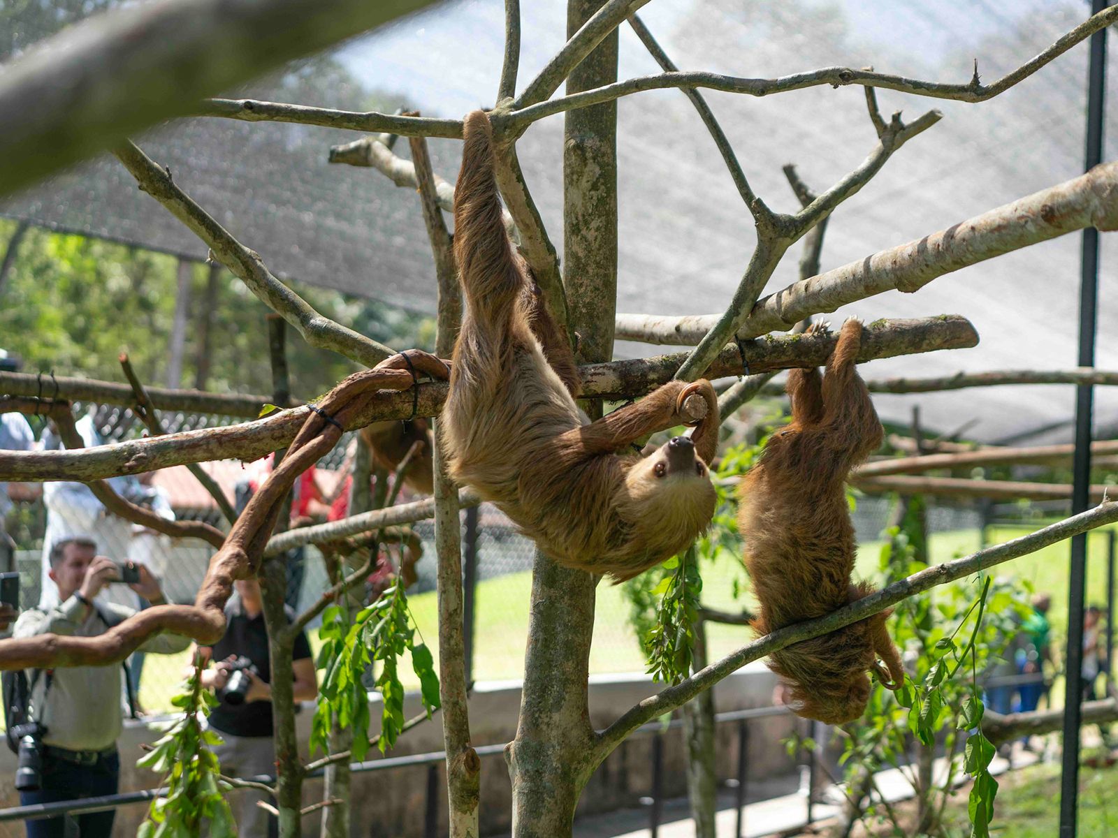 Panamá Nature Center