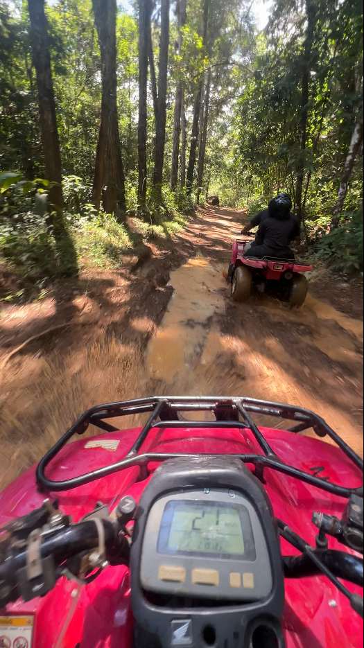 Tour Four Wheel