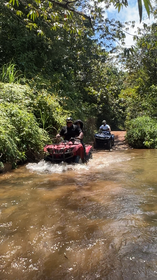 Tour Four Wheel aventura